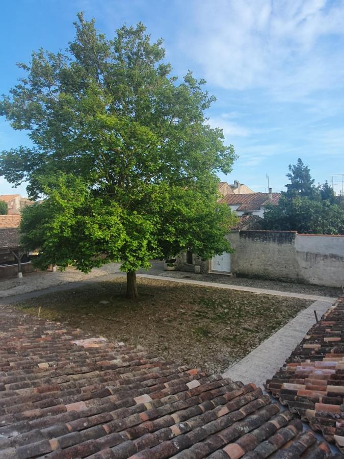 Appartement Le Pas Sage Du Marche La Flotte Buitenkant foto